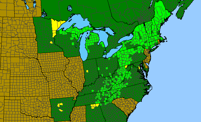 The range of Claytonia caroliniana